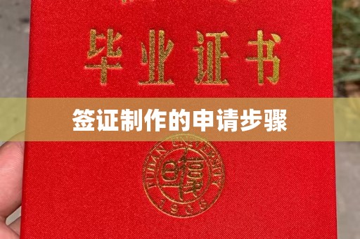 涿州签证制作的申请步骤